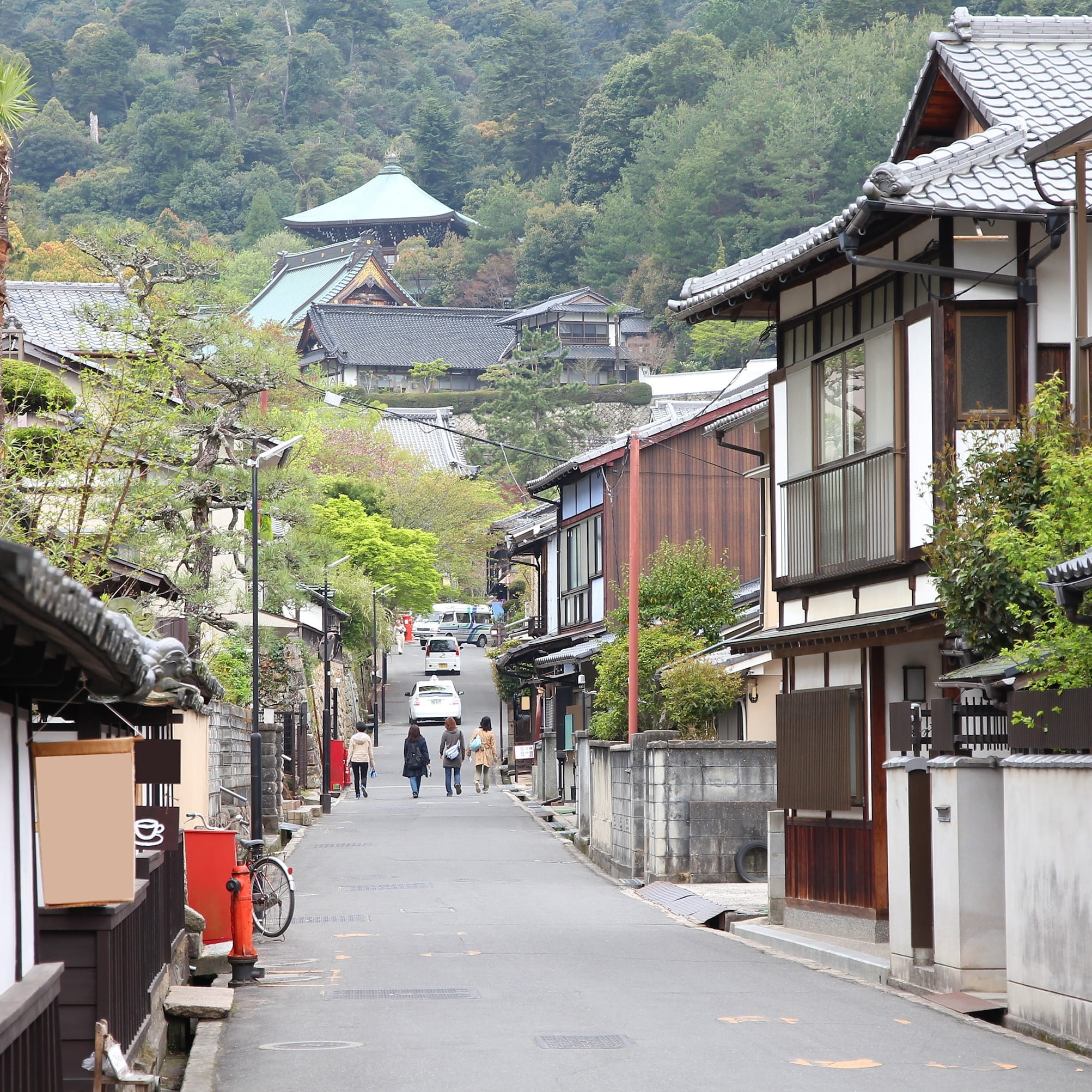 ALT Feature Bobby in Iwate